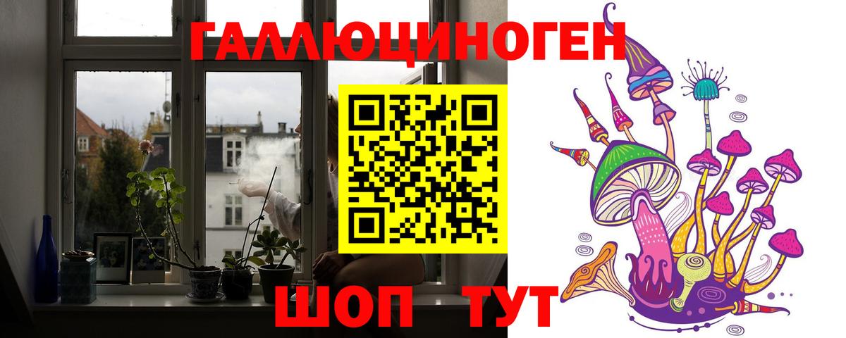 Галлюциногенные грибы Psilocybe  Вход с VPN  Новошахтинск 