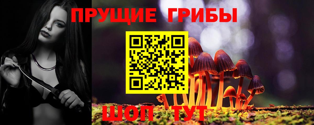 Галлюциногенные грибы Psilocybine cubensis Новошахтинск